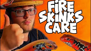 Fire Skink Care Guide [upl. by Adnima]