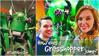 How does a Grasshopper jump  The Robot Zoo  Maddie Moate [upl. by Haggar]