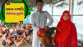 টাইগার মুরগি পালন করে সফল ভালুকার দম্পতি  Tiger murgi farm  কৃষি ঘর [upl. by Silrak320]