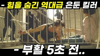 총 제작비 500억 자신을 배신한 조직을 단 하루 만에 쓸어버리는 세계랭킹 1위 은둔 킬러 영화리뷰 결말포함 [upl. by Archy]