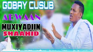 MUXIYADIIN SHAAHID  CAQLI GADAN  GABAY CAJIIBA  2024 AUDIO [upl. by Eiramassenav]