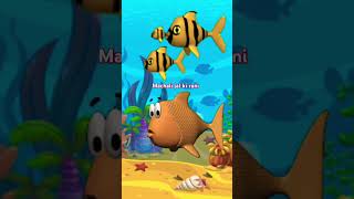 Machali jal ki rani hai🐟youtubeshorts trendingshorts jingletoons music babyshorts nurseryrhyme [upl. by Dellora]