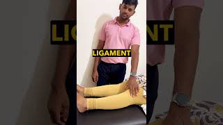 Knee pain assessment physiotheraphy physiotharapy physiotherapy physioterapy anatomy [upl. by Marney]