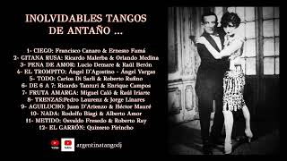 TANGOS FAMOSOS LAS MEJORES ORQUESTAS TÍPICAS DARIENZO BIAGI amp OTRAS tango argentina musica [upl. by Waterman130]