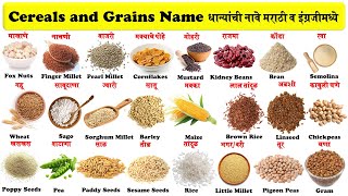 cereals and grains name in english and marathi with pictures  धान्यांची नावे मराठी व इंग्रजी [upl. by Laverne]