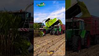 É US GURI PAI 🚜🇧🇷 shorts zonarural agrobrasil agricultura edits [upl. by Neom770]