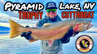 PYramid Lake NV Jigging for Trophy Lahontan Cutthroat Trout   The Mid  The salty pond [upl. by Reivaz]