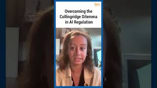 Watch  Overcoming the Collingridge Dilemma in AI Regulation [upl. by Marcie]