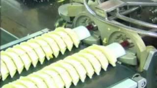 餃子成形機 Gyoza making machine AD10 [upl. by Ylrebma]