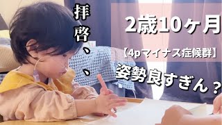 【4pマイナス症候群】ピナちゃんに色鉛筆を渡すとカオスでした。 [upl. by Jallier]