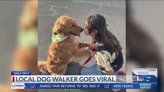 Local dog walker goes viral [upl. by Karole]