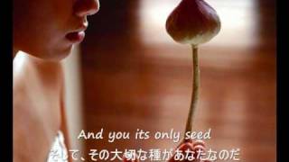 The Rose  Bette Midler 歌詞字幕）English amp Japanese Lyrics [upl. by Ynobe180]