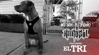 Kinto Sol  No Soy Tu Perro Feat EL TRI Audio [upl. by Yorgerg]