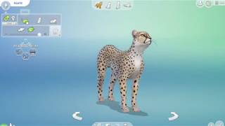 Creating an Asiatic Cheetah with The Sims 4 Cats amp Dogs Create a Sim [upl. by Ahsito]