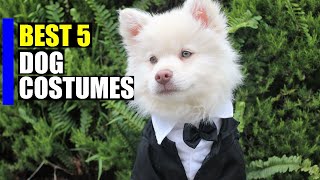 Top 5 Best Dog Costumes 2020 [upl. by Elayne]