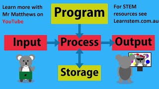 CS Basics Input Process Output [upl. by Ecissej]