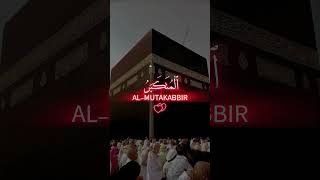 asma ul husna 99 names of allah allah asmaulhusna islamicshorts qurantilawat আল্লাহ [upl. by Ereveneug701]