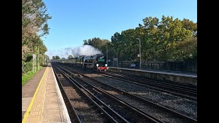 Merchant Navy Class no 35028 British Pullman passes Headcorn 24 October 2024 [upl. by Soilisav]