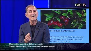 Calcoli Renali e Fitoterapia [upl. by Ahsaela]