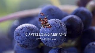 Castello di Gabbiano wine poetry [upl. by Eignav682]