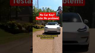 Tesla Fun Fact  Keyless [upl. by Oflunra183]