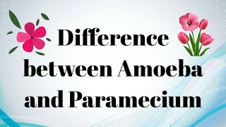 Difference between Amoeba and Paramecium  Amoeba vs Paramecium by Star Pharma [upl. by Aylsworth]