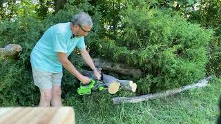 Greenworks 40v 12inch chainsaw review movie [upl. by Aliehc45]