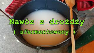 Nawóz z drożdży  sfermentowany [upl. by Nylaras637]