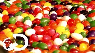 Jelly Beans  How Its Made [upl. by Yracaz]