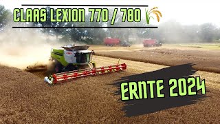 Weizenernte 2024 Claas Lexion 770780 Brandenburg Prignitz claas fendt krampe [upl. by Gulick158]