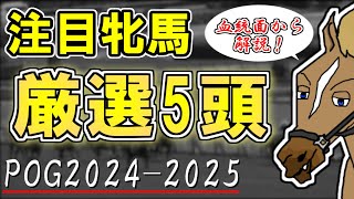 【POG20242025注目牝馬】牝馬はドゥラメンテ産駒とキズナ産駒に注目！血統的に注目の厳選5頭を紹介！【バーチャルサラブレッド・リュウタロウ】 [upl. by Cort]