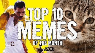 TOP 10 VIDEO MEME del MESE 14  ScuolaZoo [upl. by Gelhar158]