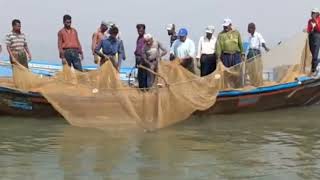 Fishing Boat met Fishs 2024 Karachi [upl. by Tansy]