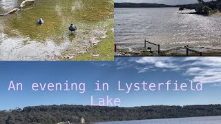 An evening in Lysterfield Lake parkMelbourne days [upl. by Ocana]