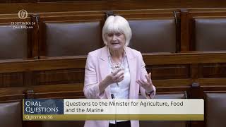 Deputy Marian Harkin speech from 26 Sep 2024 [upl. by Ytsirhc774]