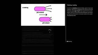 Bacterial Motility How Bacteria Move  Microbiology [upl. by Neetsirk]