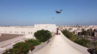 Incredible KAUST ❤️Gardens Elementary School❤️ at TKS Saudi Arabia ❤️🇸🇦❤️🇸🇦 2024 [upl. by Lyndy]