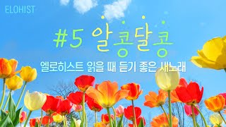 엘로히스트 읽을 때 듣기 좋은 새노래 5 [upl. by Notsreik]