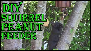 How To Build A Squirrel Feeder  Lasts Forever So Easy To Make [upl. by Zebadiah]