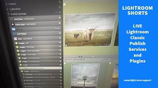 Lightroom Short  Classic Publish Service and Plugins [upl. by Namzaj889]