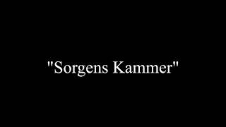 Dimmu Borgir  Sorgens Kammer Cover [upl. by Dempsey965]