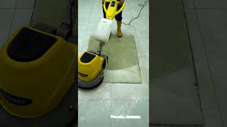 Like New Again Carpet Cleaning Magic [upl. by Burke345]