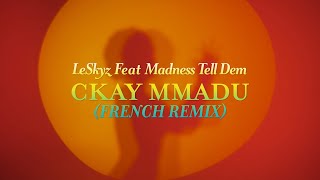 LeSkyz ft Madness Tell Dem  Toupatou CKay  mmadu French REMIX [upl. by Ehcnalb]