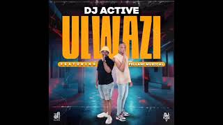 Nikiwe soundtrack  Dj Active ft Fellani Musical  Ulwazi [upl. by Rubin]