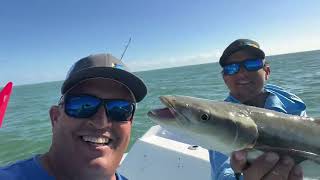 Inshore Fishing Biscayne Bay [upl. by Bobbe]