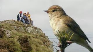 A la découverte des oiseaux migrateurs [upl. by Fowkes255]