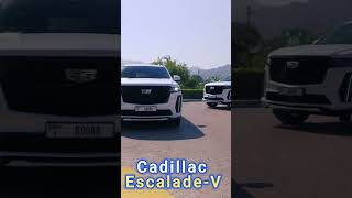 New 2024 Cadillac Escalade V [upl. by Notnirb228]