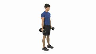 How to do a Dumbbell Hammer Curl [upl. by Trueman]