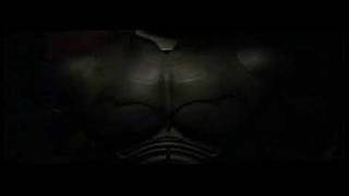 Batman Begins [upl. by Avilo]