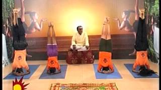 Dr Asana Andiappans Kalaignar TV Yoga Program 04 05 2012 Sirsasana [upl. by Enier]